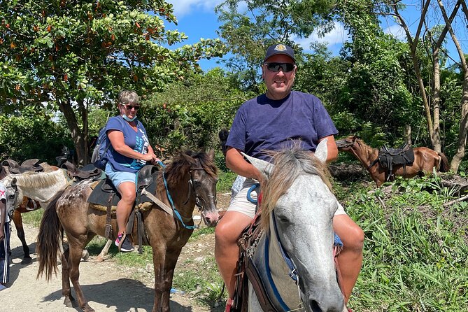 Horseback riding tours from amber cove & Taino bay port silver - Horses, safety, and the guide match-up you want on day one