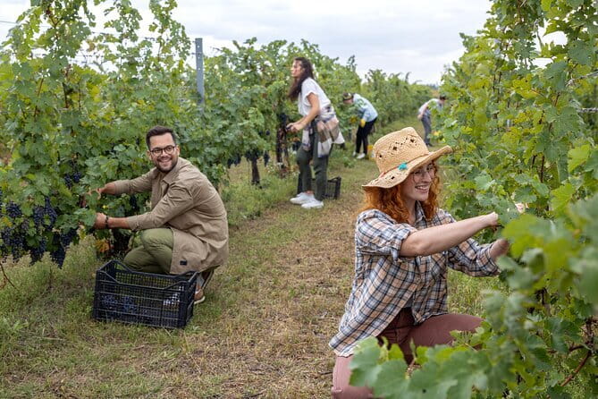Horseback riding & Wine Tasting and snack Lunch at noble Estate - An hour of Chianti on horseback: vineyards, olive groves, and the real countryside feel