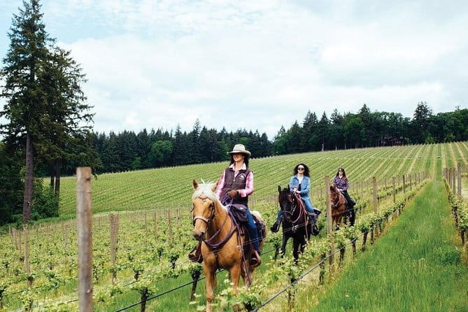 Horseback riding & Wine Tasting and snack Lunch at noble Estate - Inside the winery: medieval cellars, Renaissance rooms, and real process talk