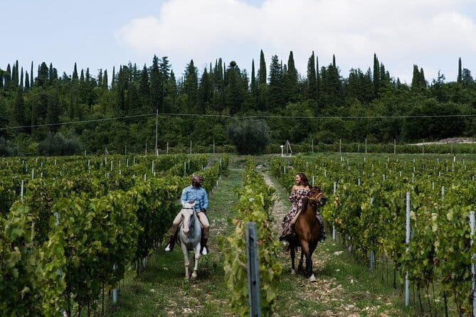 Horseback riding & Wine Tasting and snack Lunch at noble Estate - Wine tasting with snacks and lunch: what’s included and how it works