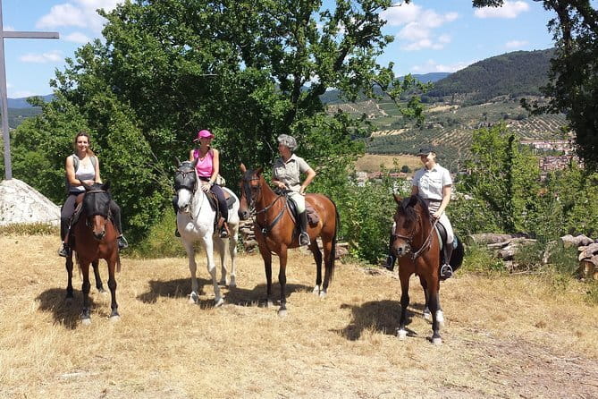 Horseback riding & Wine Tasting and snack Lunch at noble Estate - From the Piazza dei Cavalleggeri to the stables: getting out of the city