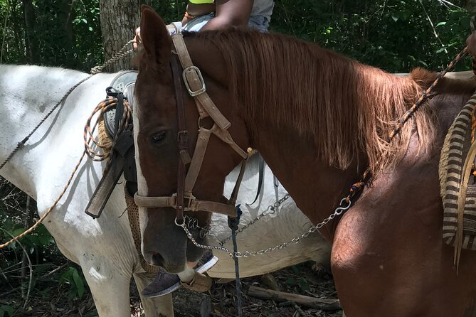 Horseback riding with ATV, zip lines and cenote, lunch and transfer - Lunch, lockers, and the photo/tequila endgame