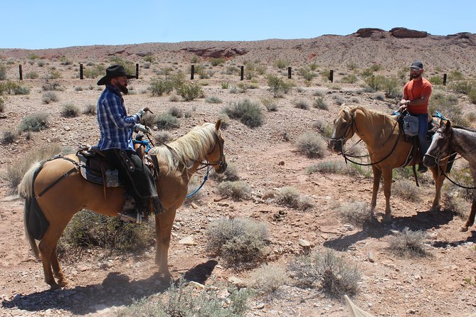 Horseback Riding with Breakfast in Las Vegas - Western Breakfast, Then Calm Horses in the Nevada Desert