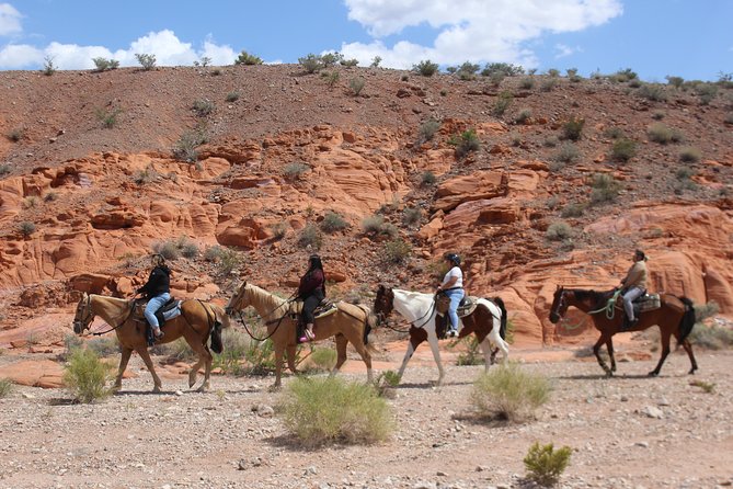 Horseback Riding with Breakfast in Las Vegas - How the Tour Handles First-Timers (No Horse Experience Needed)