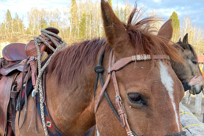 Horseback Riding with Grand Teton Views in Jackson Hole - Heart Six Ranch Safety and the Reality of Cowboy Time