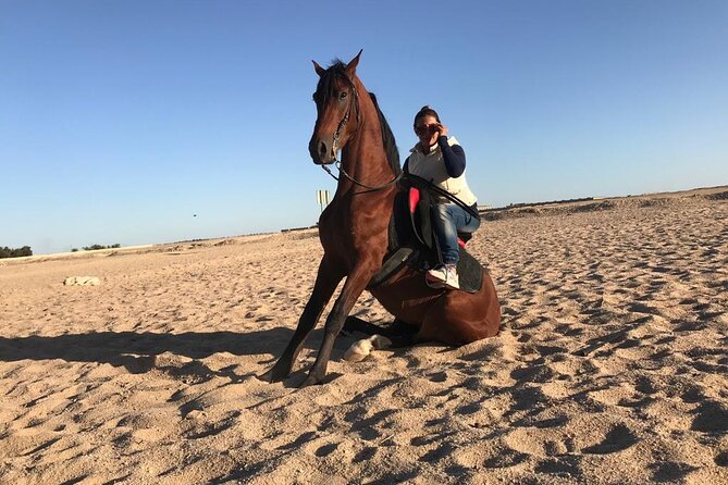 Horseback Riding with Pickup and Drop-off from Sharm El Sheikh - Hotel pickup and drop-off: makes the day feel easy