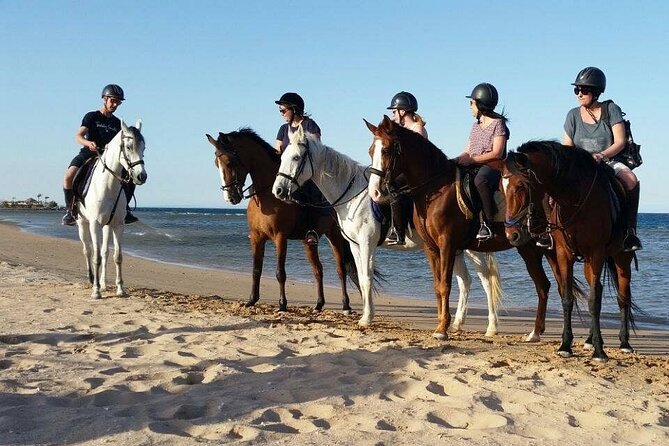 Horseback Riding with Pickup and Drop-off from Sharm El Sheikh - The ride itself: beach time, sea moments, and a desert stretch