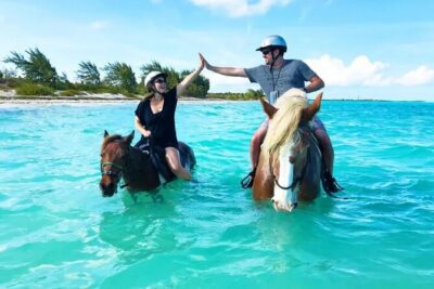 Horseback Riding with Pickup and Drop-off from Sharm El Sheikh - Timing and ride length: 1 hour or 2 hours on horseback