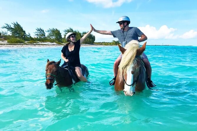 Horseback Riding with Pickup and Drop-off from Sharm El Sheikh - Timing and ride length: 1 hour or 2 hours on horseback