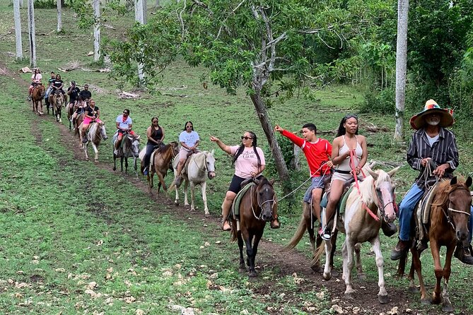 Horseback Riding with Pickup from Punta Cana - Key highlights you’ll care about