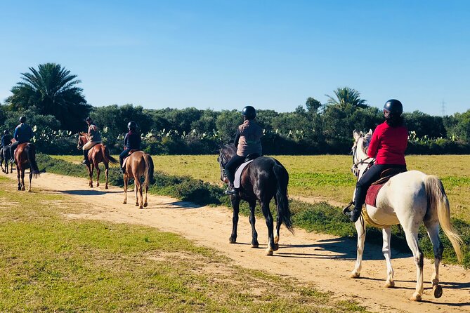 Horseback riding with private transfer - The 3-hour flow: safety talk, horse help, then trail time
