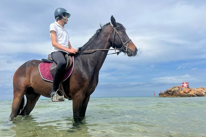 Horseback riding with private transfer - The ride itself: tracks, sea-side walking, and standout moments