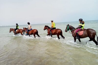 Horseback riding with private transfer - Countryside vs beach riding: what determines your route