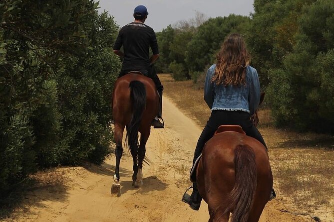 Horseback riding with private transfer - Value check: what $62.72 buys in Monastir