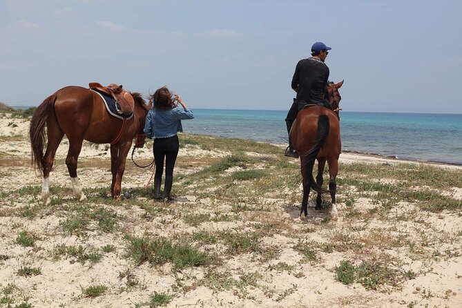 Horseback riding with private transfer - Who should book this horseback ride (and who might skip it)