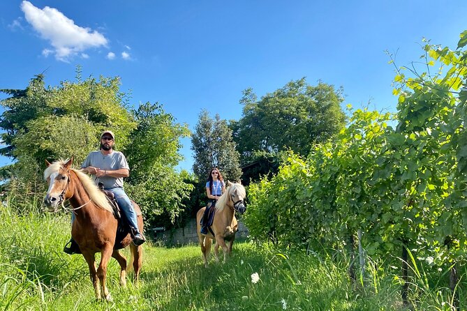 Horseback Riding with Wine and Food Tasting in Lazise Countryside - Horseback Riding with Wine and Food Tasting in Lazise: a calm countryside reset