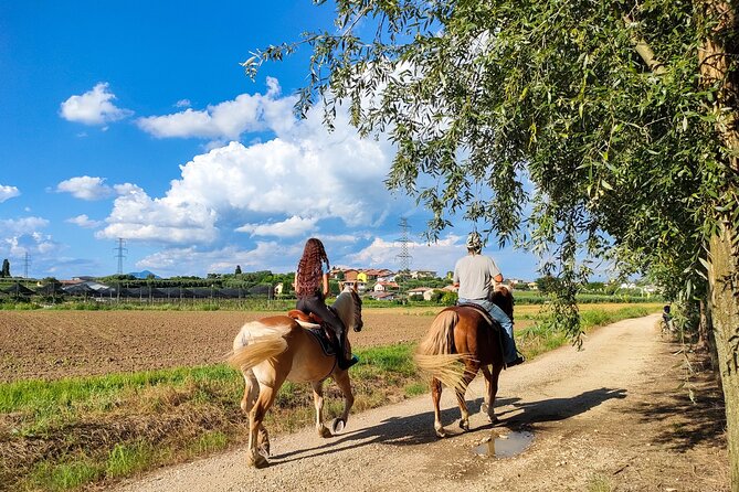 Horseback Riding with Wine and Food Tasting in Lazise Countryside - Apicoltura Morati: honey-forward tasting at a family beekeeping farm