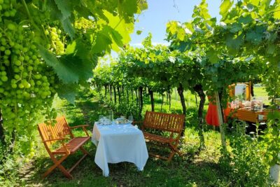Horseback Riding with Wine and Food Tasting in Lazise Countryside - Passing through Colà on horseback: vineyards, Bardolino, and the slow view