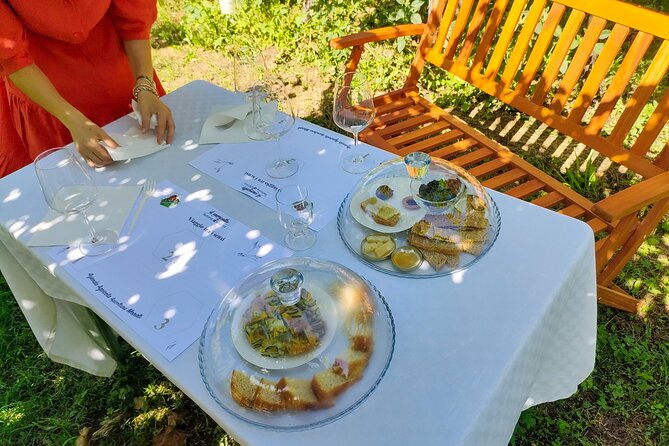 Horseback Riding with Wine and Food Tasting in Lazise Countryside - Price and value: is $150.34 worth it for a 3-hour day?