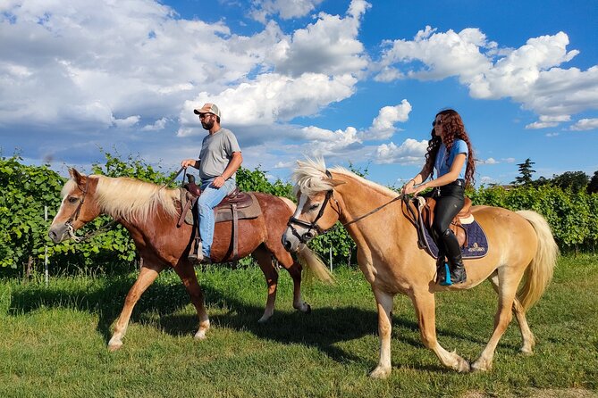 Horseback Riding with Wine and Food Tasting in Lazise Countryside - Language and on-the-ground tips that matter