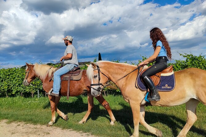 Horseback Riding with wine tasting in Lake Garda vineyards - Stop 2: Castelnuovo del Garda farms, vineyards, and open views