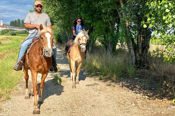 Horseback Riding with wine tasting in Lake Garda vineyards - Tinelli Wines tasting: 3 regional wines with cold cuts and cheeses