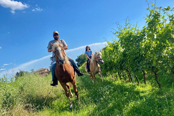 Horseback Riding with wine tasting in Lake Garda vineyards - Price and value: what $157.21 buys you here