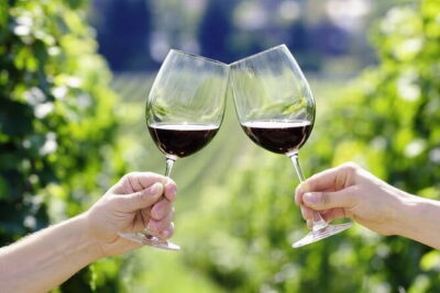 Horseback Riding with Wine Tour from Florence - Winery farm lunch and wine tasting in the Chianti area