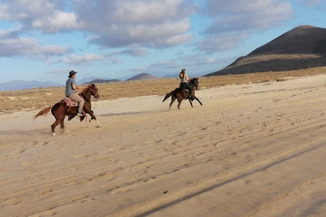 Horseback riding - Starting at Flatmoen Nature: Where the Day Actually Begins