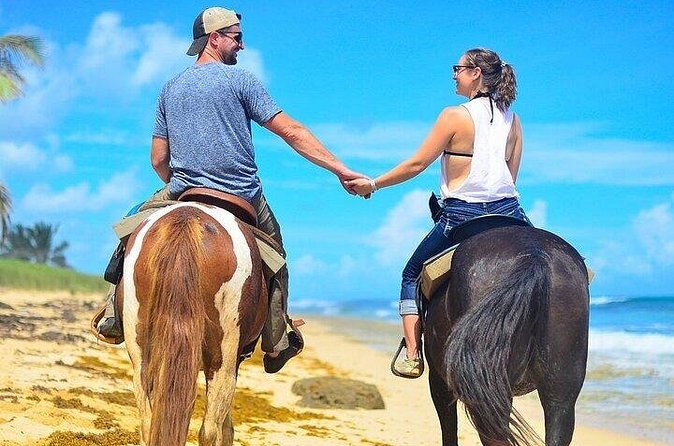 HorseBack Rinding to Macao Beach - The Ride to Macao Beach: Expect Beach Energy, Not a Guaranteed Scenic Drive