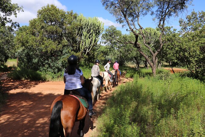 Horseback Safari Adventure in Hartbeespoort from Johannesburg - Start in Johannesburg with coffee, tea, and zero stress