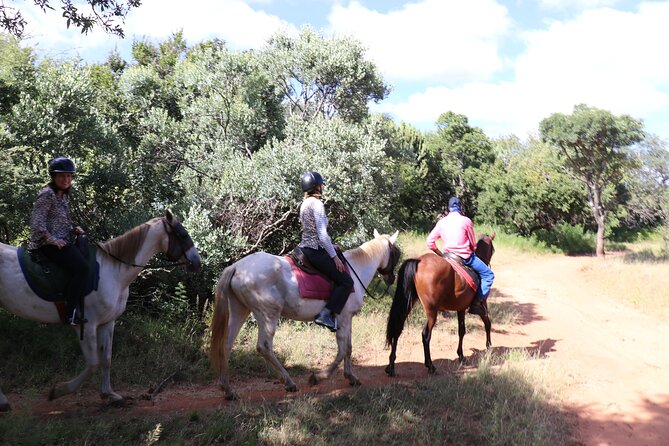 Horseback Safari Adventure in Hartbeespoort from Johannesburg - Timing and group size: what a 7–8 hour day really means