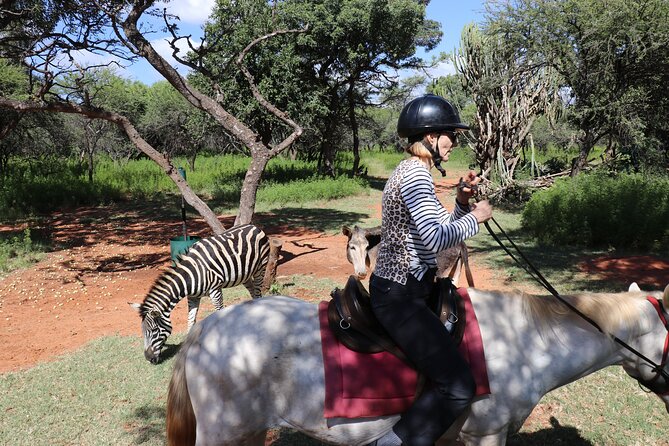 Horseback Safari Adventure in Hartbeespoort from Johannesburg - Price and value: how $112.52 stacks up for Johannesburg visitors