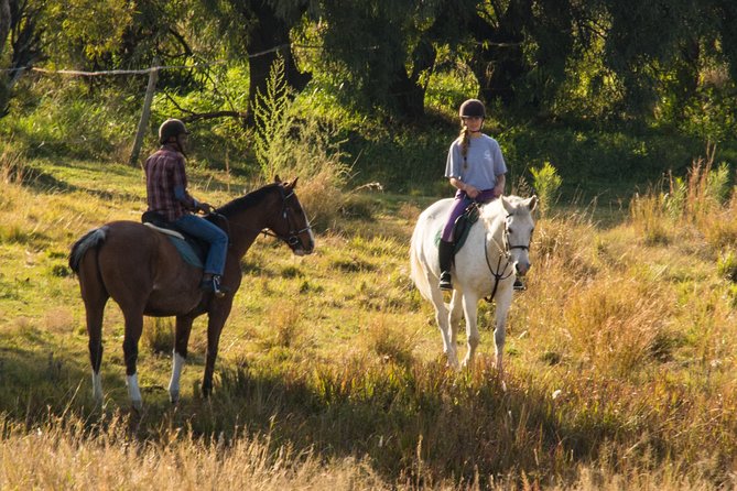 Horseback Small-Group Trail Rides in Muldersdrift - Key things I’d zero in on