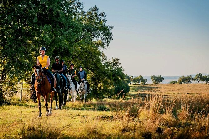 Horseback Small-Group Trail Rides in Muldersdrift - Muldersdrift Views From the Saddle: What This Ride Feels Like
