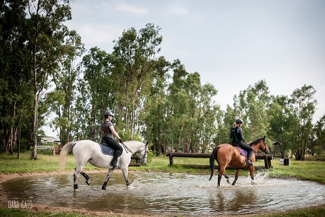 Horseback Small-Group Trail Rides in Muldersdrift - The Trail and the View Stops: Johannesburg, Magaliesberg, Cradle of Humankind