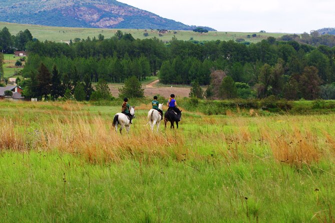 Horseback Small-Group Trail Rides in Muldersdrift - Price and Value: Is $34.69 Worth It?
