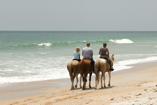 Horseback “SPECIAL”- Negril’s Beach Ride N’ Swim with Free photos/videos - The 90-Minute Flow: Trail, Mangroves, Private Beach, Ocean Swim