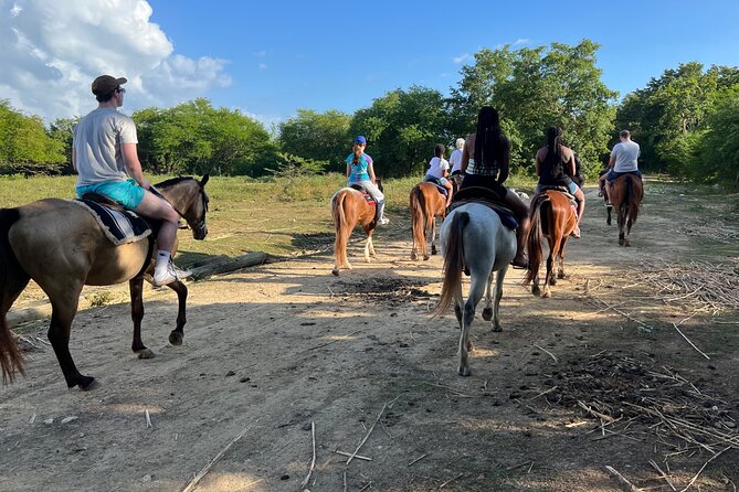 Horseback “SPECIAL”- Negril’s Beach Ride N’ Swim with Free photos/videos - Horses, Beginner Comfort, and When the Water Feels Tricky
