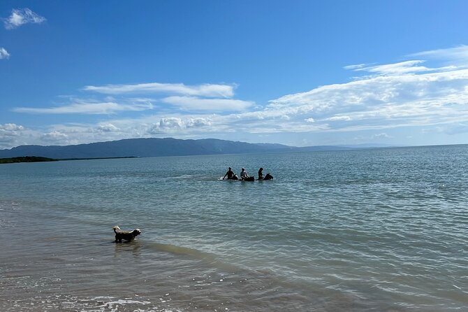 Horseback “SPECIAL”- Negril’s Beach Ride N’ Swim with Free photos/videos - What You Learn on the Ride: Plants, Trees, and the Coast Protection Story