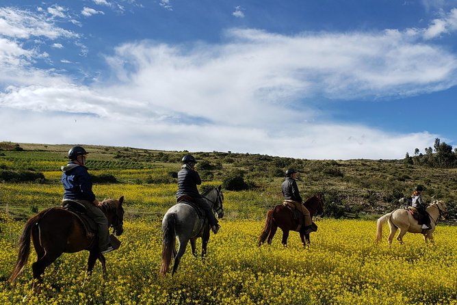 Horseback Tour in cusco to Temple of the Moon & Hidden temples - Weather and timing: how to avoid a wasted day