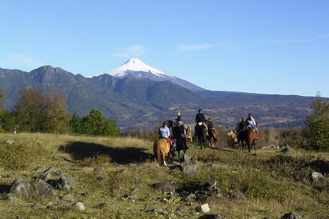 Horseback Trailride Excursion - Key points you’ll care about