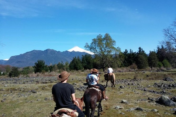 Horseback Trailride Excursion - Timing, weather, and how to plan your day in Pucón