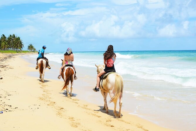 Horses, Buggy, and plantation in Chocaci Ranch - Key Highlights That Matter on the Ground