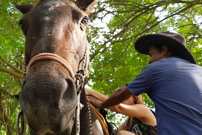 Hot Springs Horseback Riding Adventure - What to bring for comfort (and better photos)
