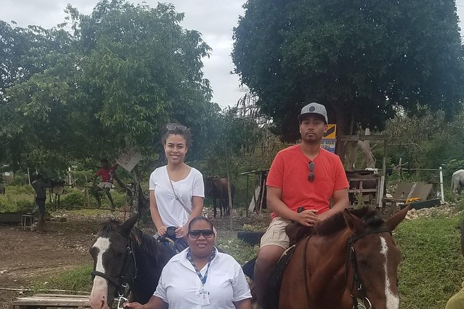 Hour Horseback Riding Guided Tour from Runaway Bay - To the beach and through the water: what optional ocean riding means