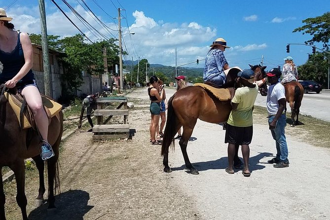 Hour Horseback Riding Guided Tour from Runaway Bay - Horse selection and guide support for every skill level