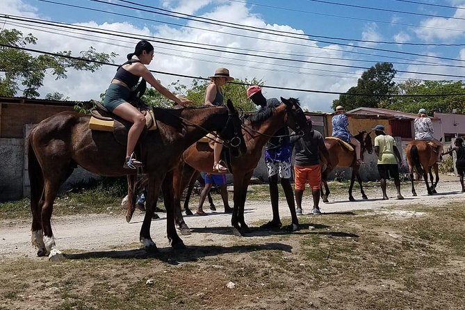 Hour Horseback Riding Guided Tour from Runaway Bay - Value, inclusions, and what you need to bring