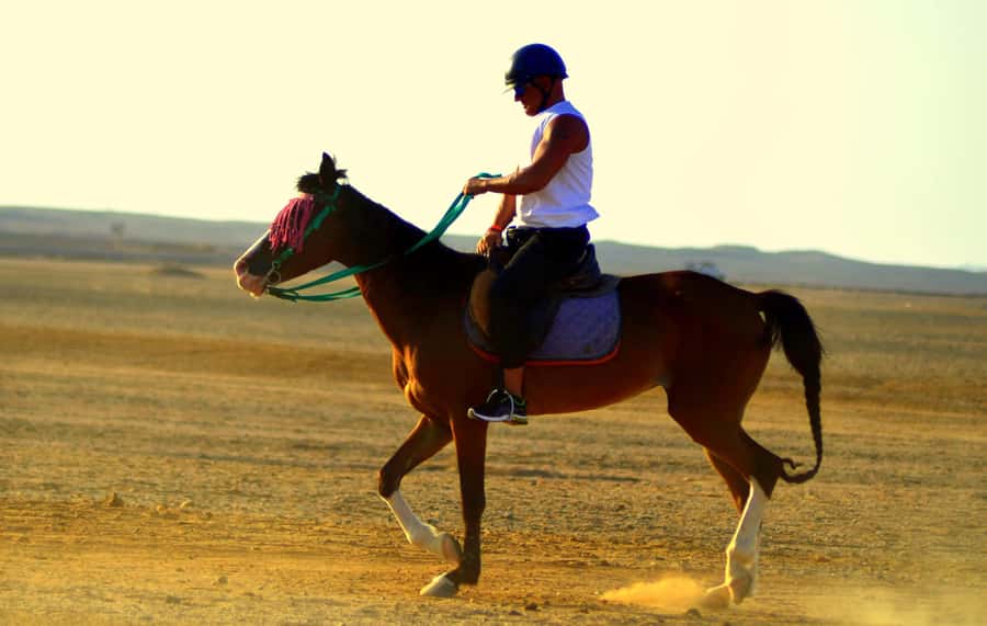 Hurghada: Arabian Desert and Sea Horseback Adventure - On the Saddle: Desert Trails, Beach Riding, and Sea-Edge Views