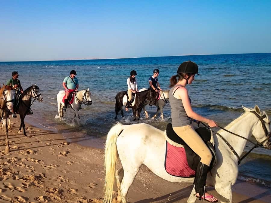 Hurghada: Arabian Desert and Sea Horseback Adventure - Sunset Ride With Dinner, Show, and Stargazing